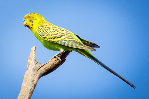 karijini ningaloo photo tour example 11